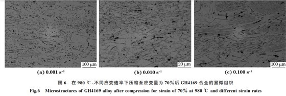 圖６ 在９８０ ℃、不同應(yīng)變速率下壓縮至應(yīng)變量為７０％