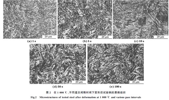 圖２ 在１０００ ℃、不同道次間隔時(shí)間下變形后試驗(yàn)鋼的顯微組織