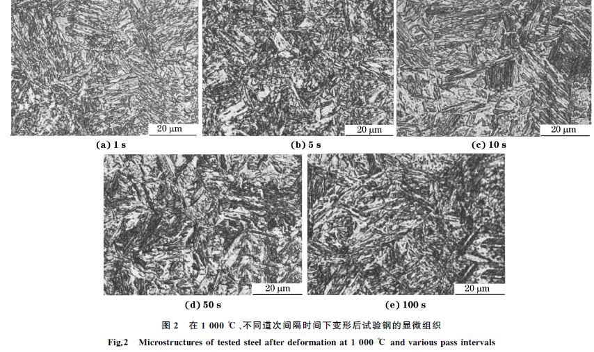 圖２ 在１０００ ℃、不同道次間隔時間下變形后試驗鋼的顯微組織